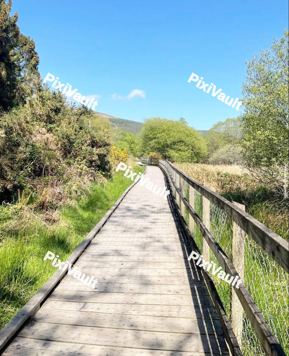 Wooden Walkway